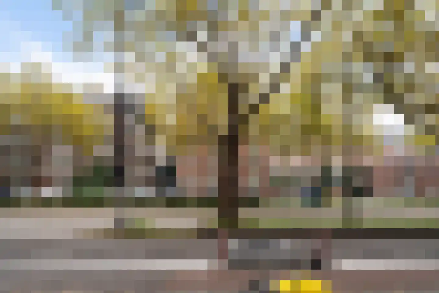 Henegouwerlaan 41 A Rotterdam thumbnail 12