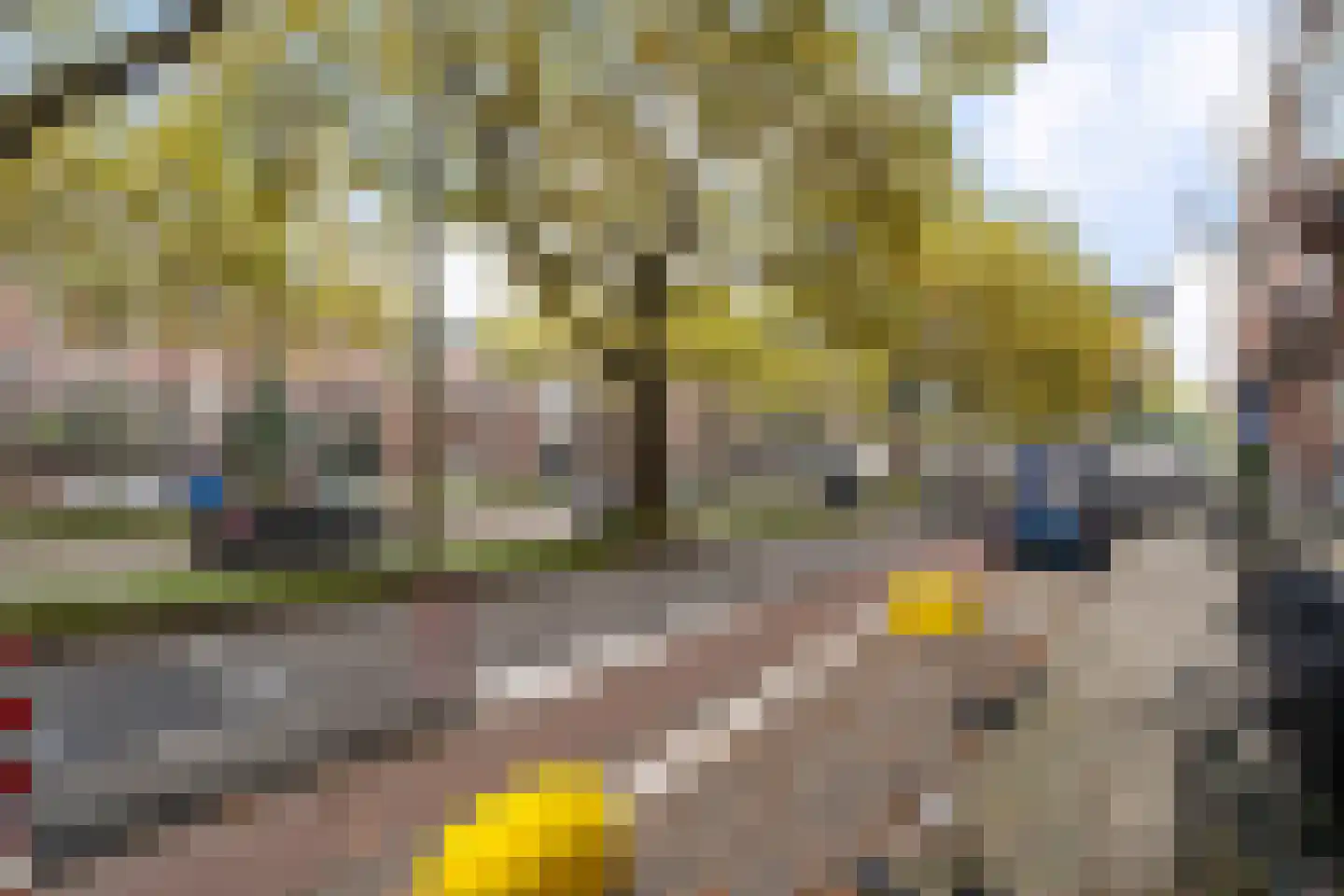Henegouwerlaan 41 A Rotterdam thumbnail 14