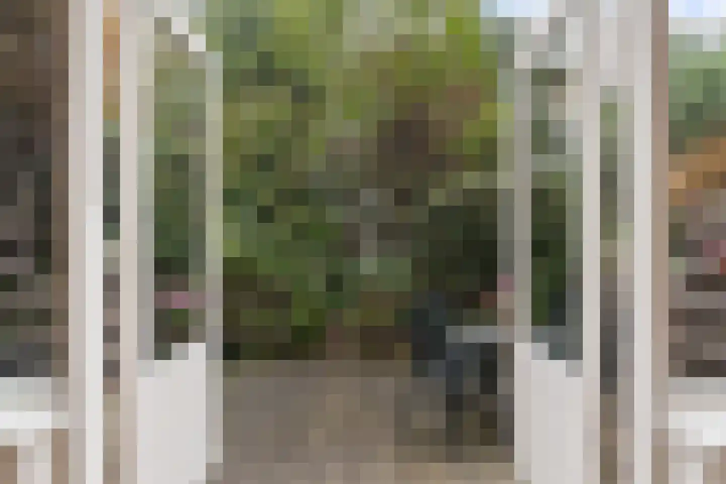 Henegouwerlaan 41 A Rotterdam thumbnail 31