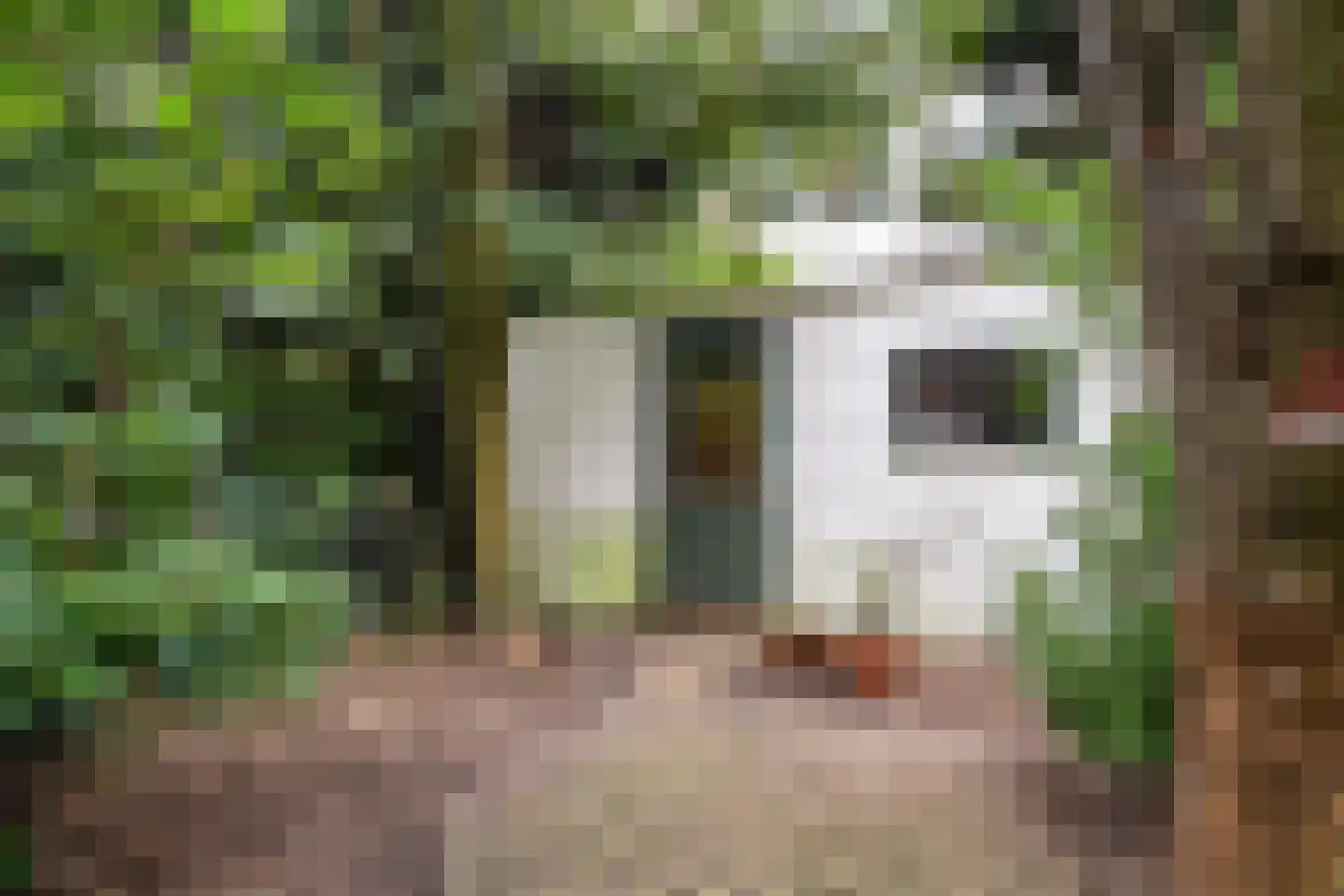 Henegouwerlaan 41 A Rotterdam thumbnail 35
