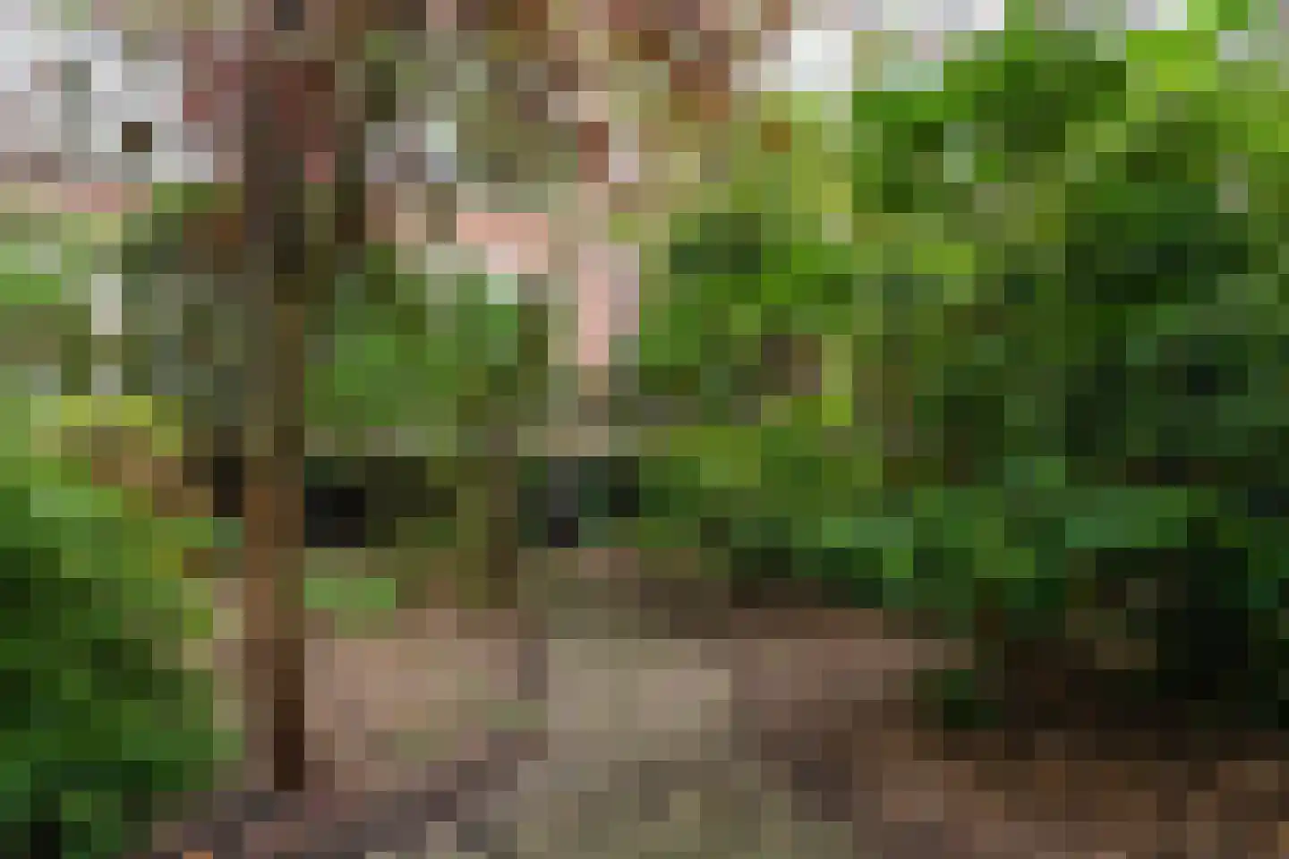 Henegouwerlaan 41 A Rotterdam thumbnail 36