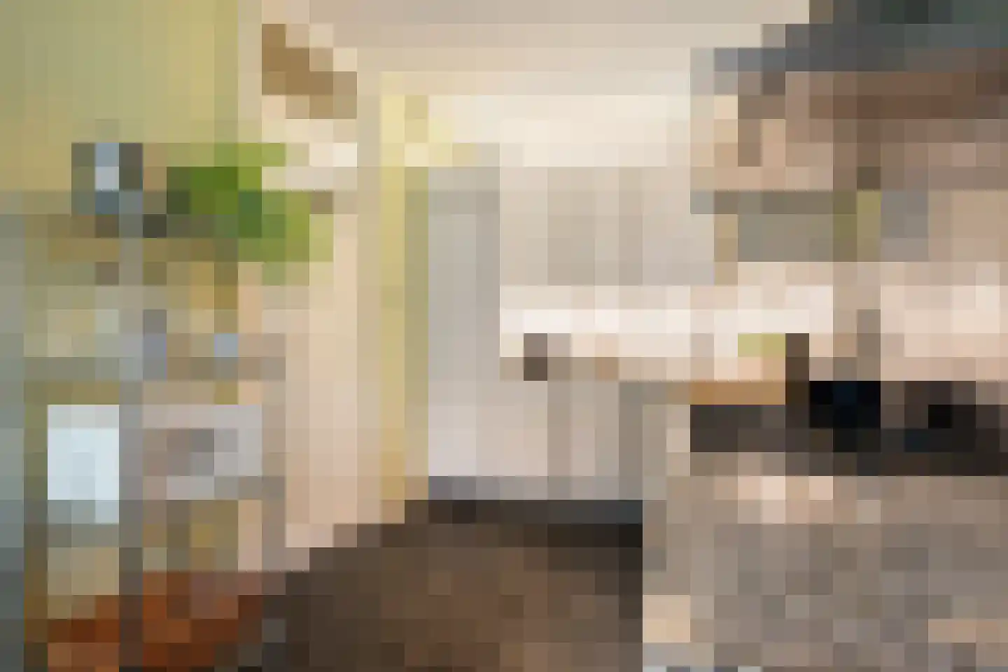 Henegouwerlaan 41 A Rotterdam thumbnail 6