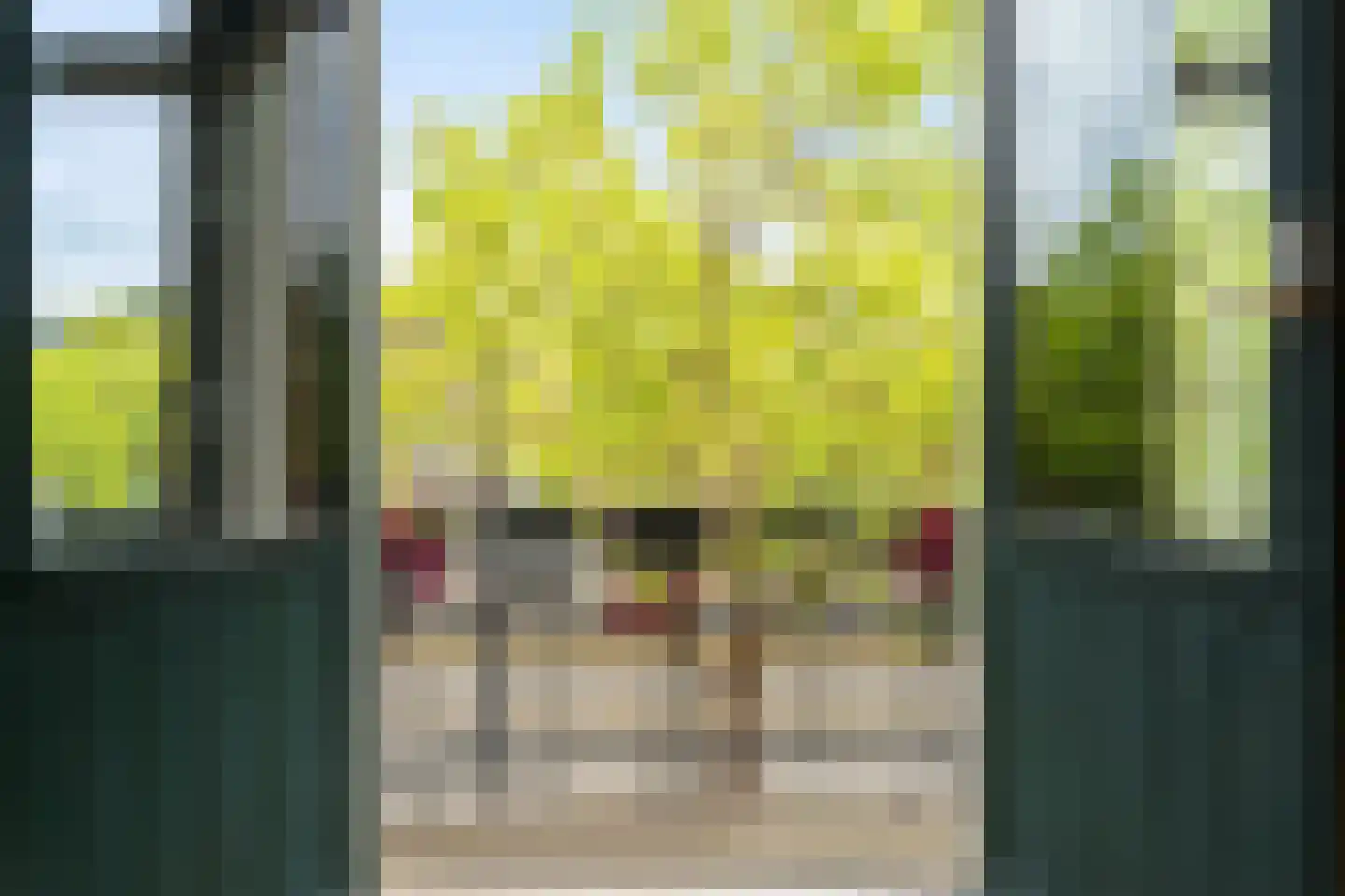 Henegouwerlaan 41 B Rotterdam thumbnail 22