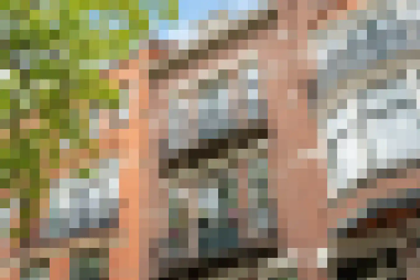 Henegouwerlaan 41 B Rotterdam thumbnail 6