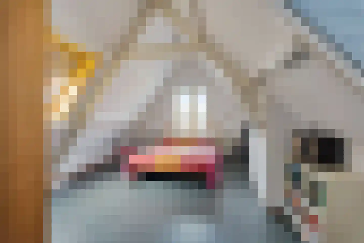 Henegouwerlaan 41 B Rotterdam thumbnail 62