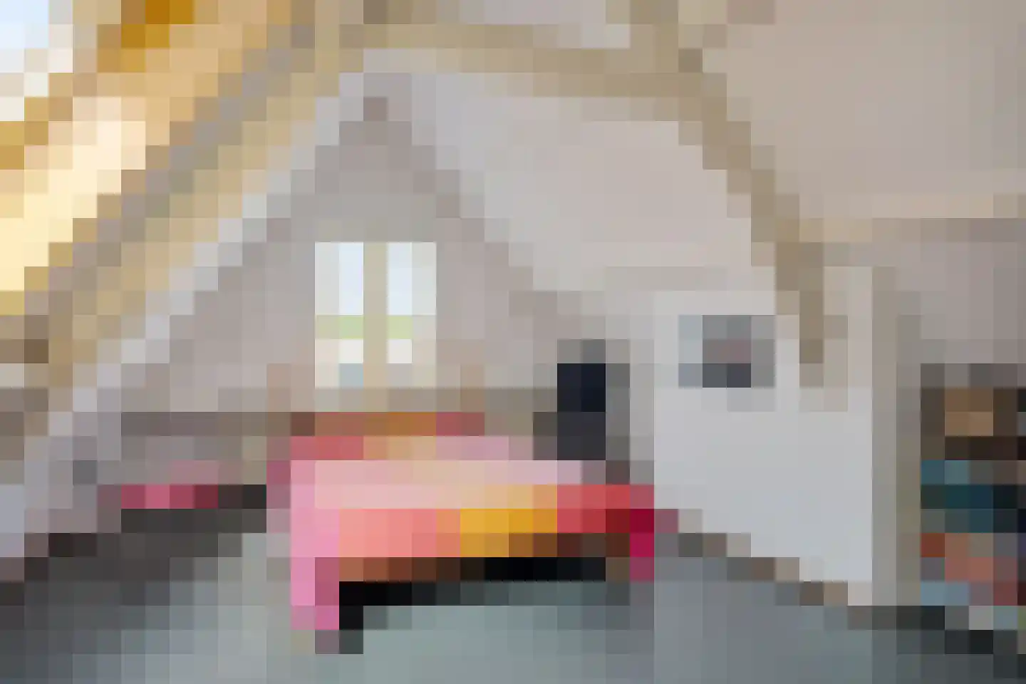 Henegouwerlaan 41 B Rotterdam thumbnail 64