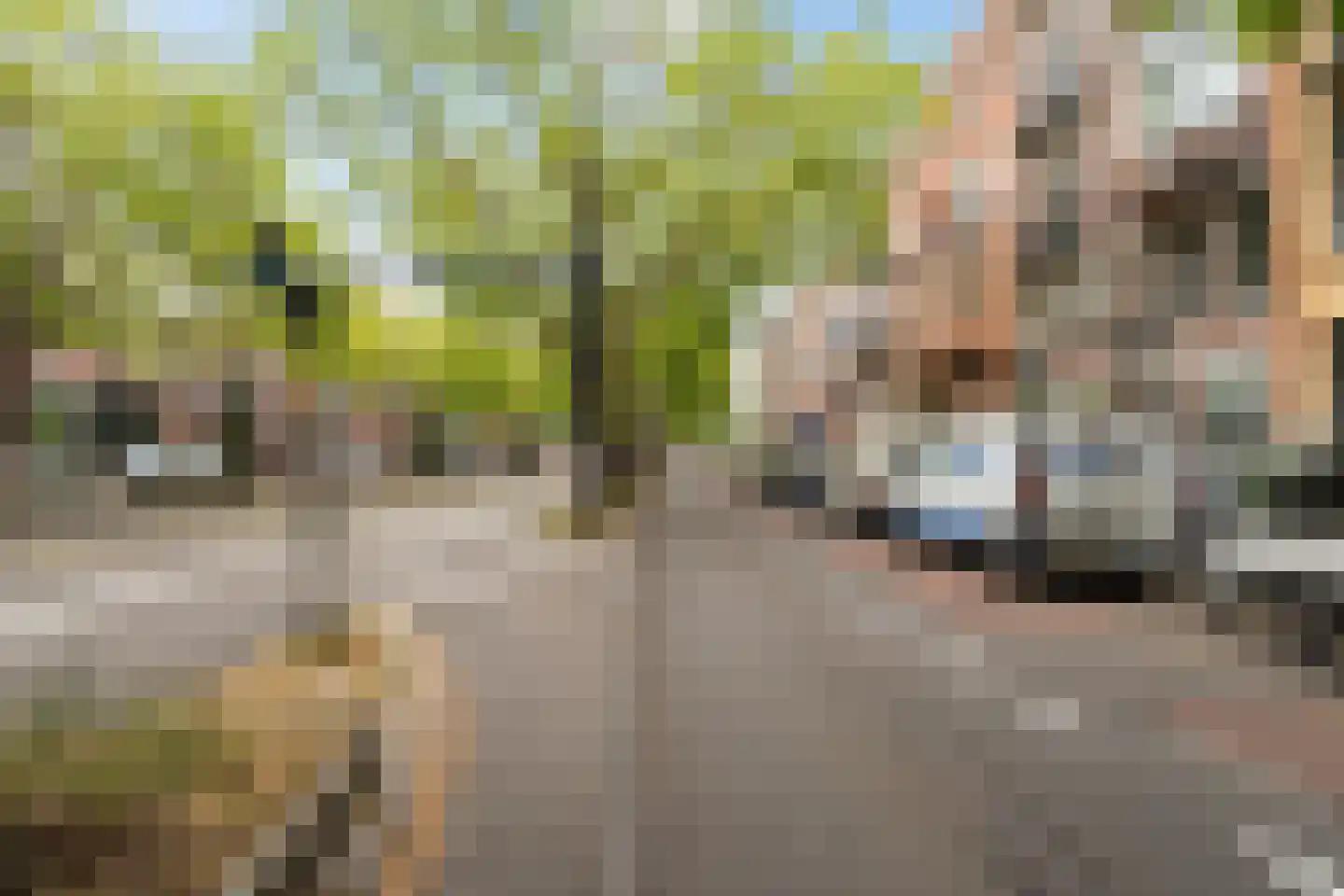 Henegouwerlaan 41 B Rotterdam thumbnail 7