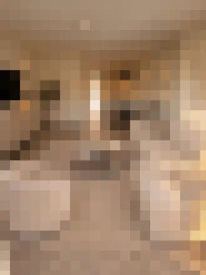 Henegouwerlaan 45 B Rotterdam thumbnail 8