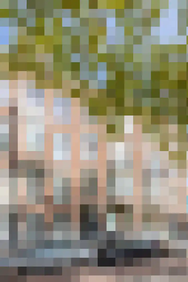 Henegouwerlaan 46 A 02V Rotterdam thumbnail 22