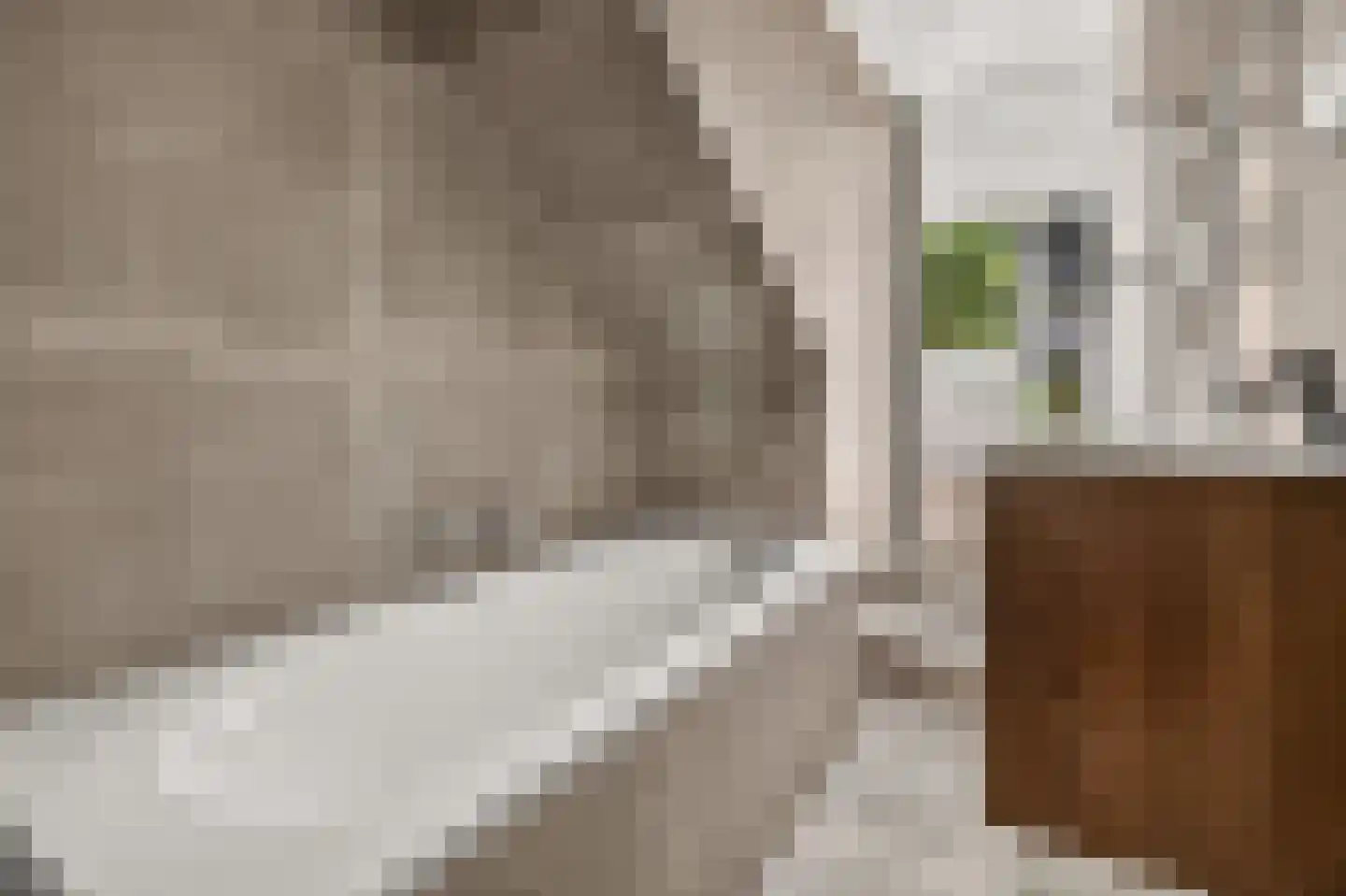 Henegouwerlaan 46 D Rotterdam thumbnail 13