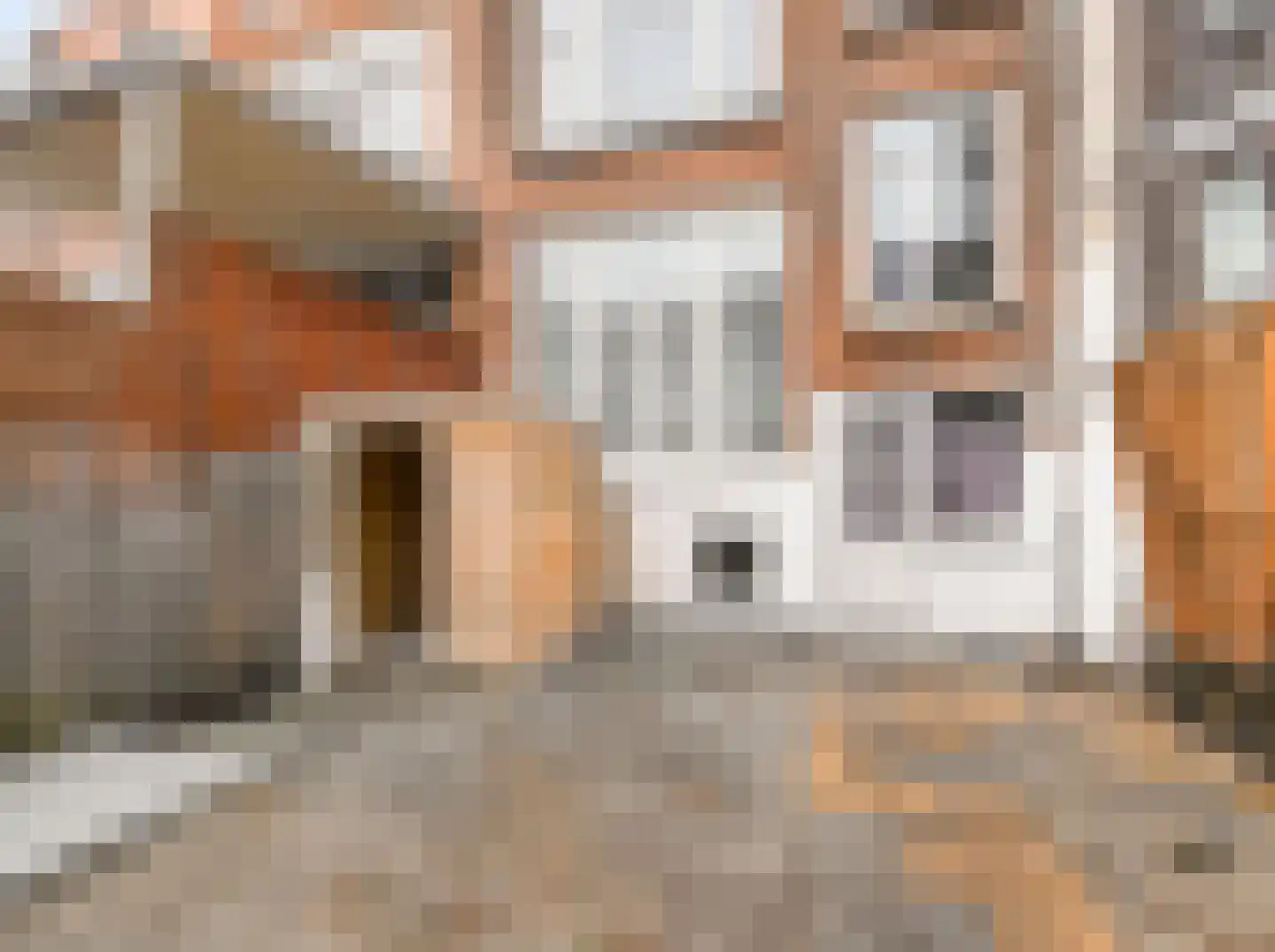 Henegouwerlaan 46 D Rotterdam thumbnail 15