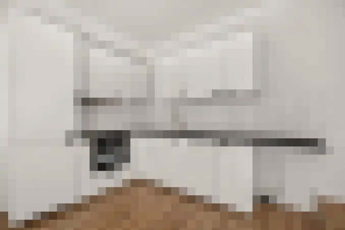 Henegouwerlaan 46 D Rotterdam thumbnail 6