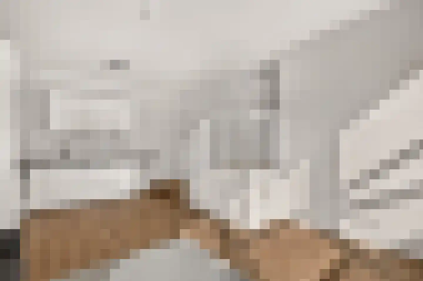 Henegouwerlaan 46 D Rotterdam thumbnail 8