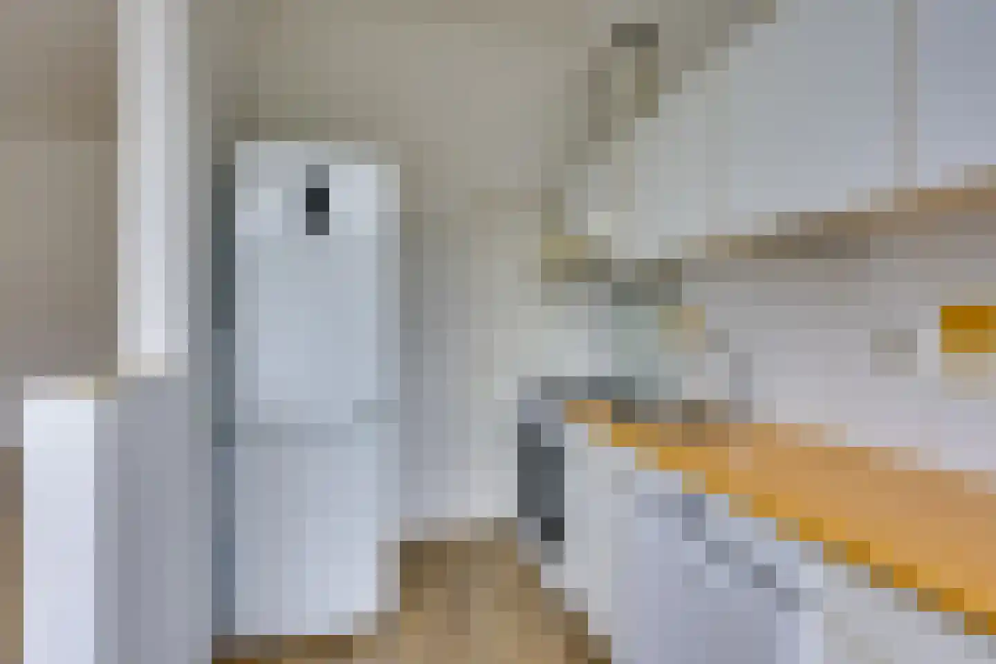 Henegouwerlaan 60 C Rotterdam thumbnail 14