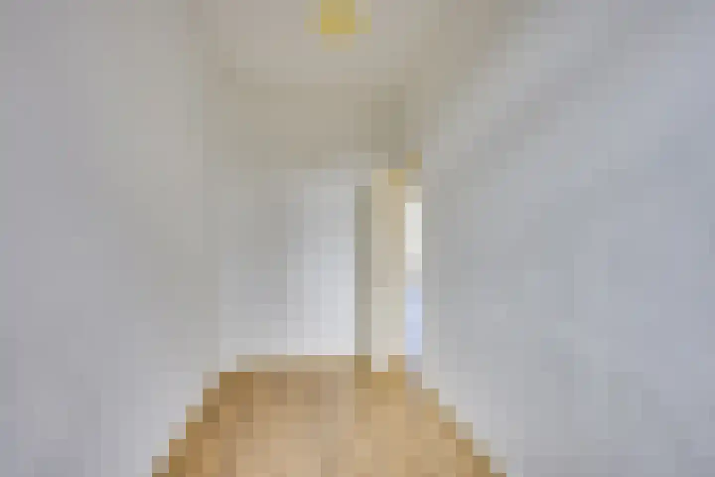 Henegouwerlaan 60 C Rotterdam thumbnail 26