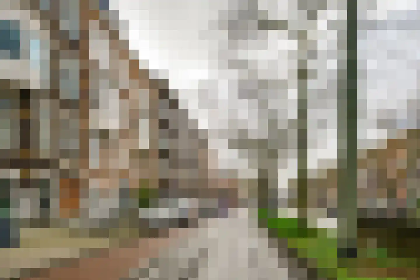 Henegouwerlaan 60 C Rotterdam thumbnail 28