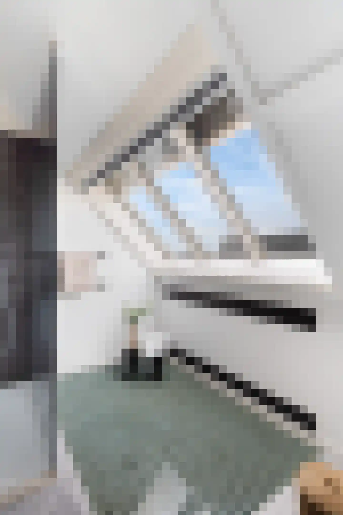 Henegouwerlaan 62 A 03 Rotterdam thumbnail 40