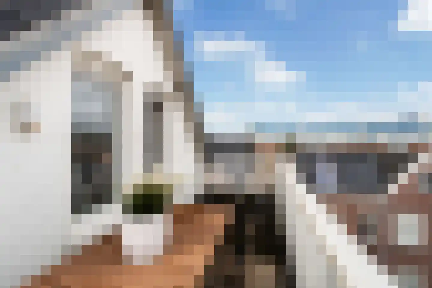 Henegouwerlaan 62 A 03 Rotterdam thumbnail 44