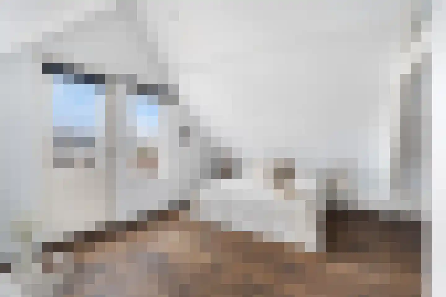 Henegouwerlaan 62 B Rotterdam thumbnail 33