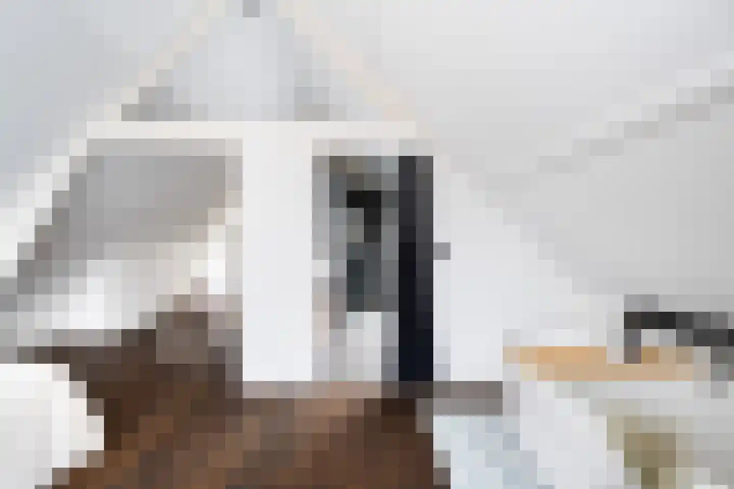 Henegouwerlaan 62 B Rotterdam thumbnail 35