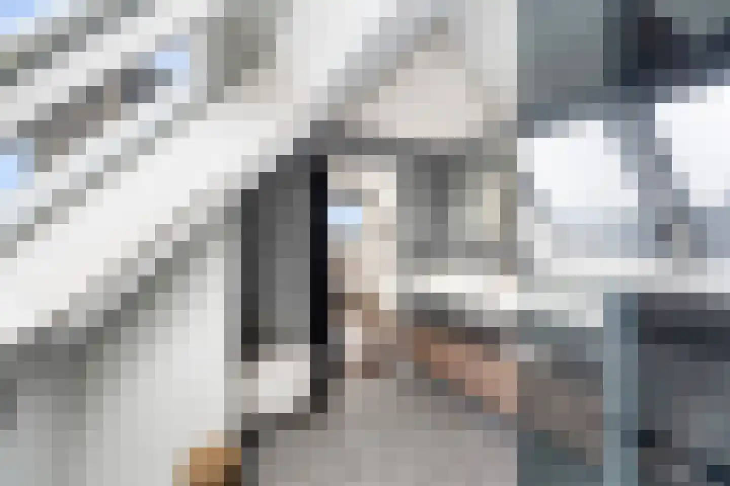 Henegouwerlaan 62 B Rotterdam thumbnail 36