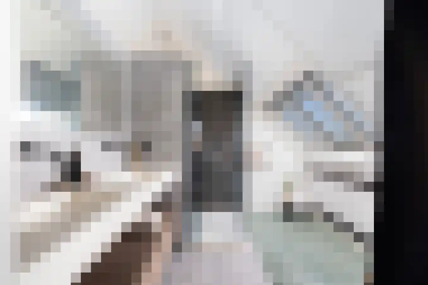 Henegouwerlaan 62 B Rotterdam thumbnail 37