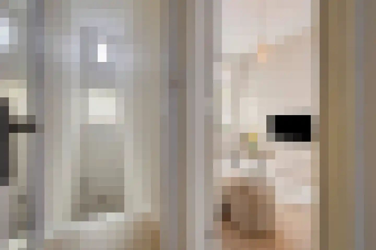 Henegouwerlaan 69 A Rotterdam thumbnail 12