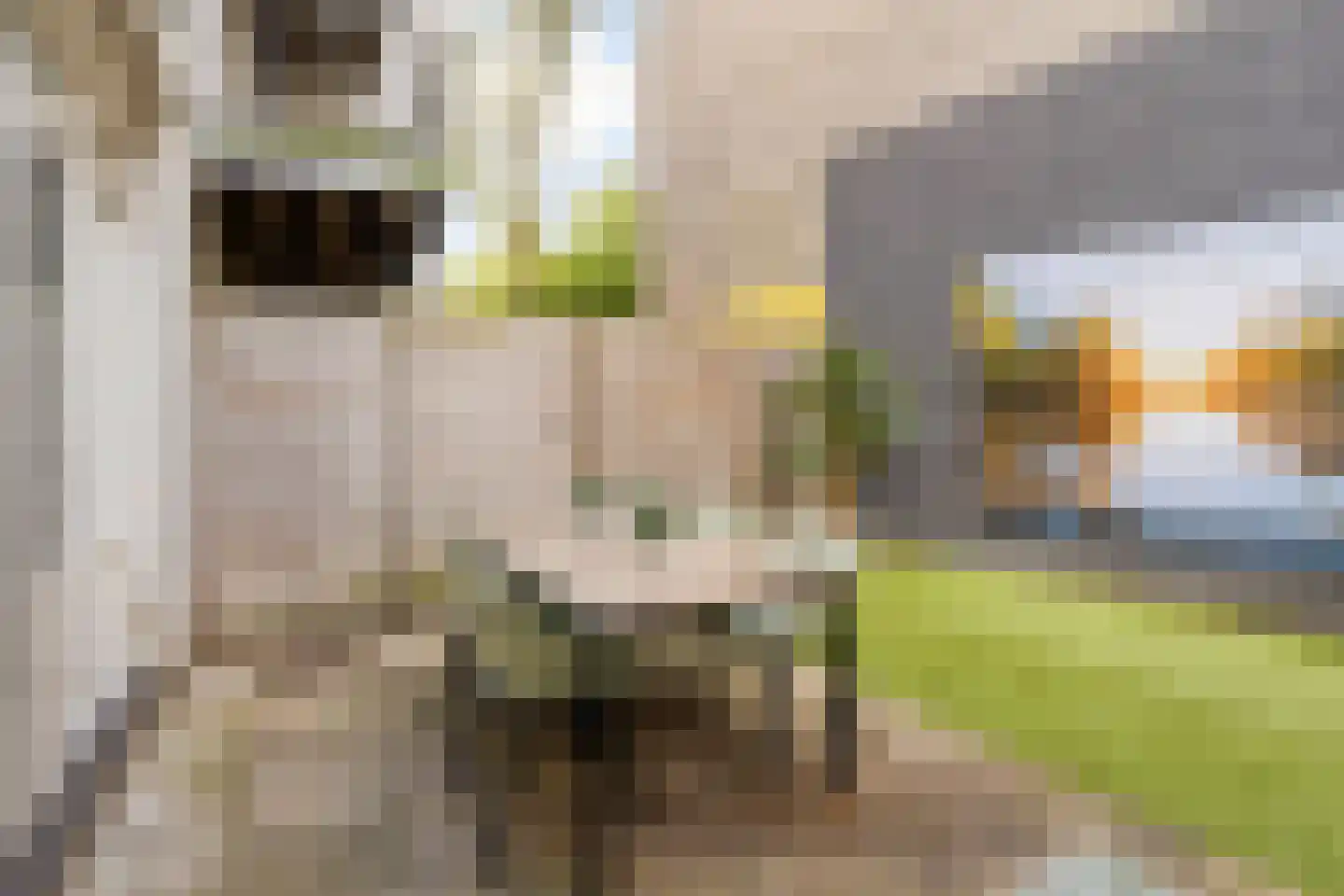 Henegouwerlaan 69 A Rotterdam thumbnail 36
