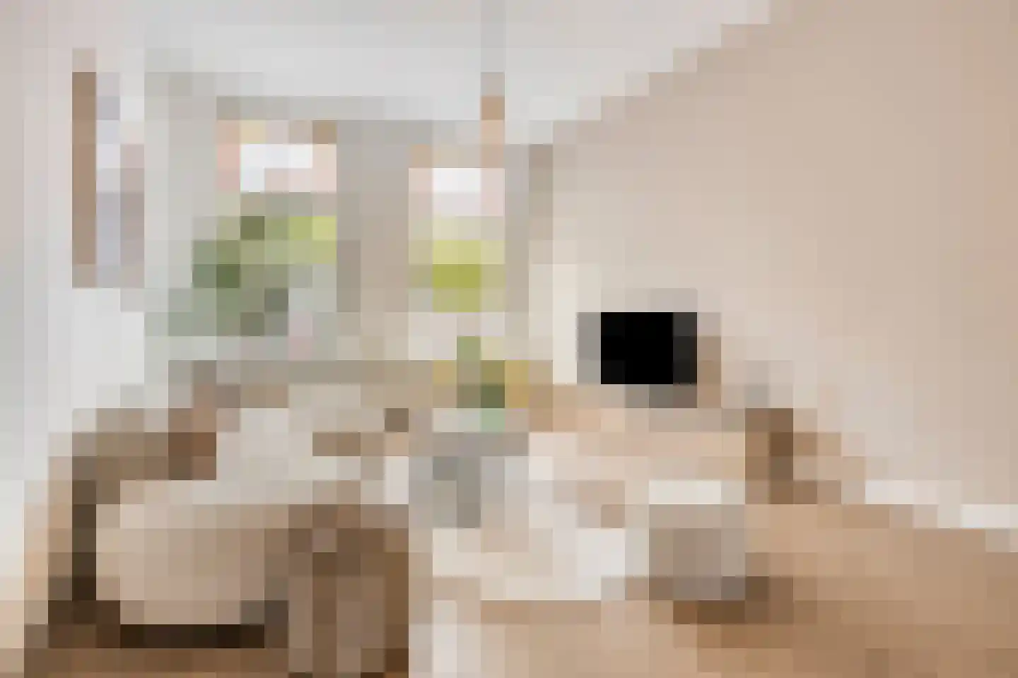 Henegouwerlaan 69 A Rotterdam thumbnail 6