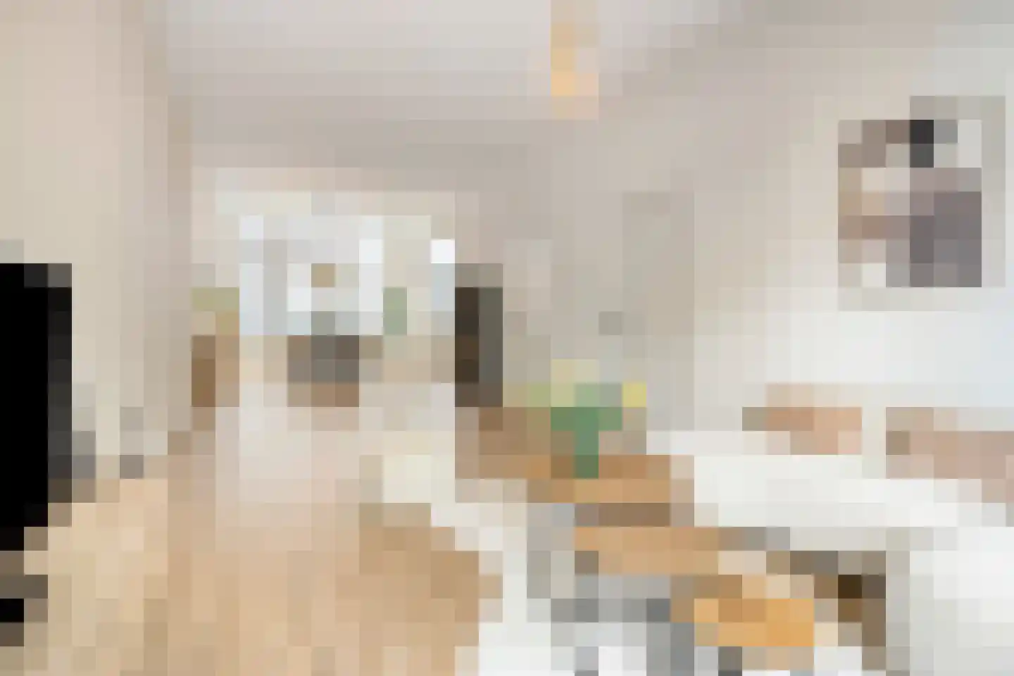 Henegouwerlaan 69 A Rotterdam thumbnail 7