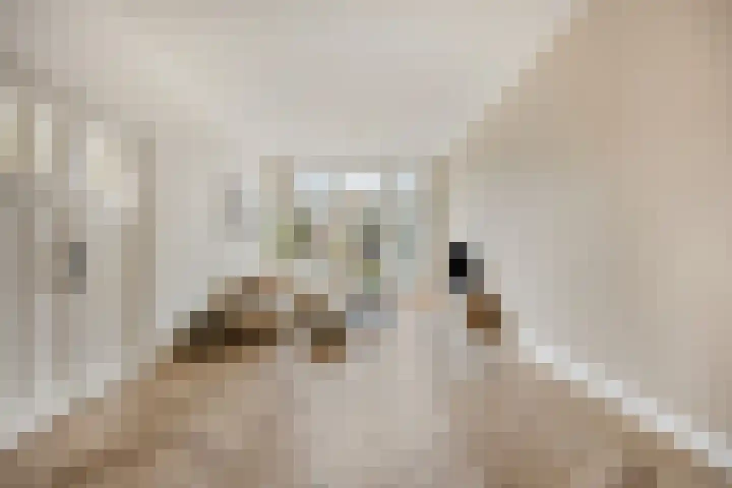 Henegouwerlaan 69 B Rotterdam thumbnail 10