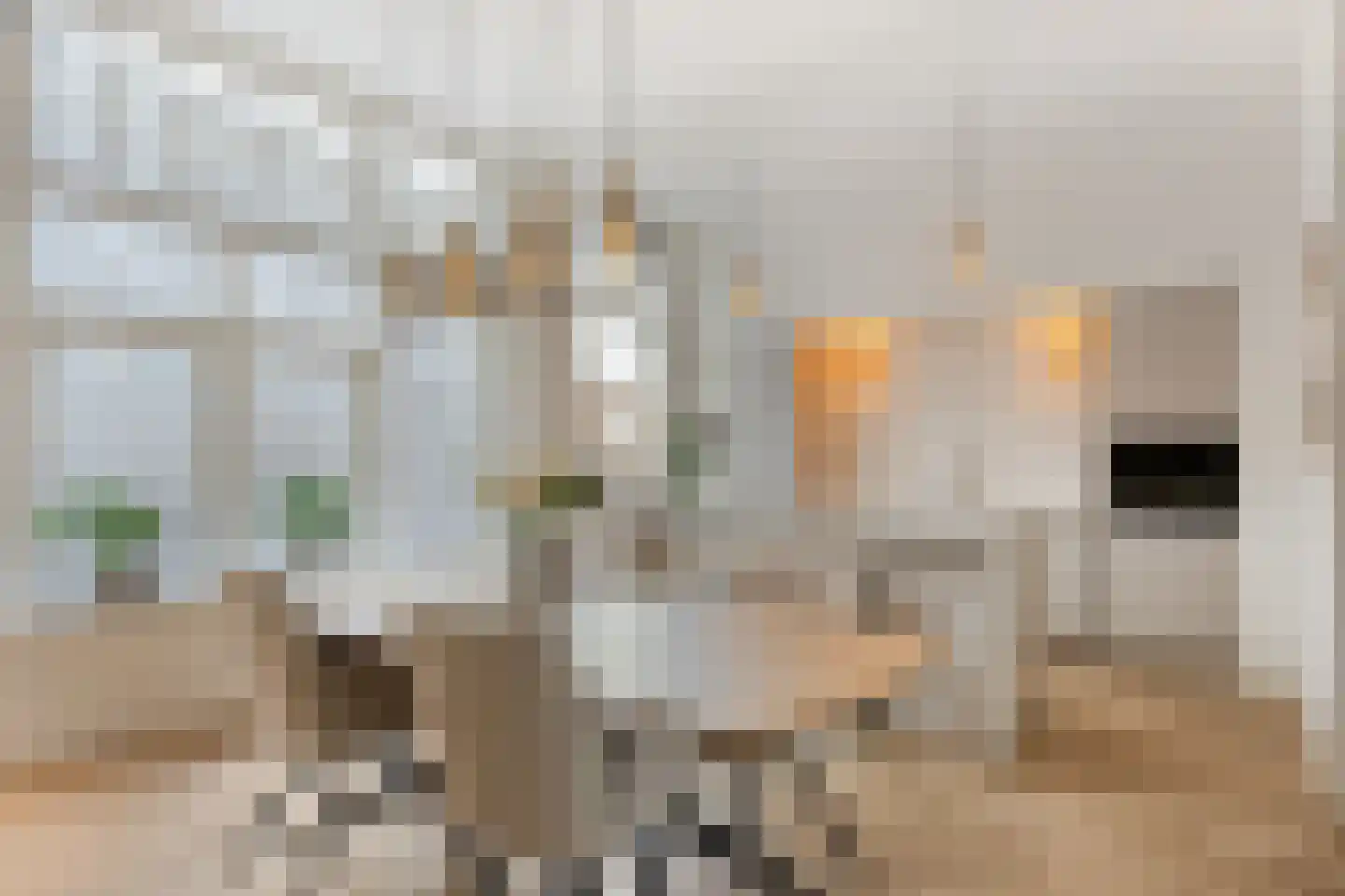 Henegouwerlaan 69 B Rotterdam thumbnail 14