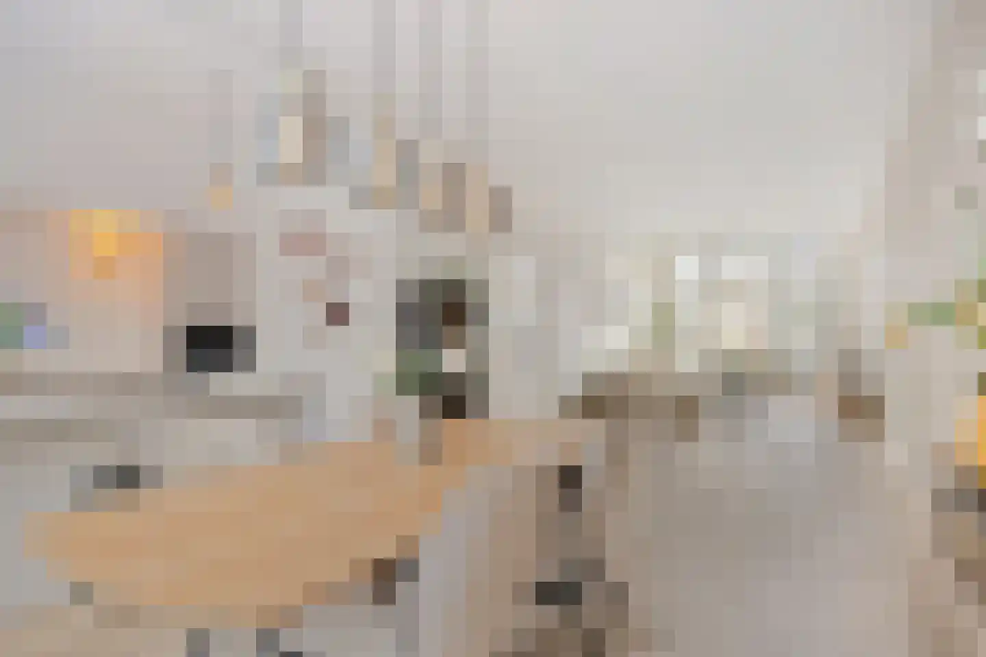 Henegouwerlaan 69 B Rotterdam thumbnail 15