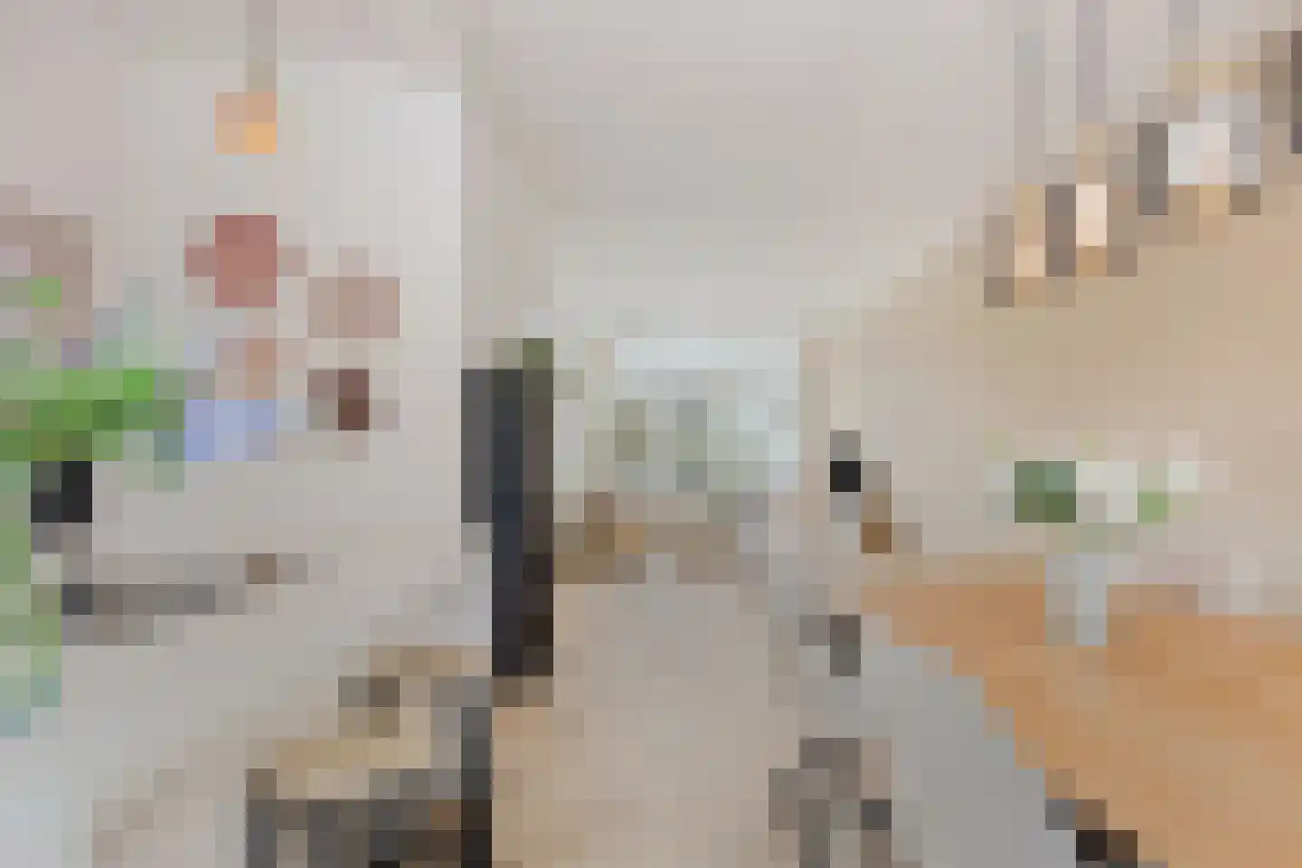 Henegouwerlaan 69 B Rotterdam thumbnail 17