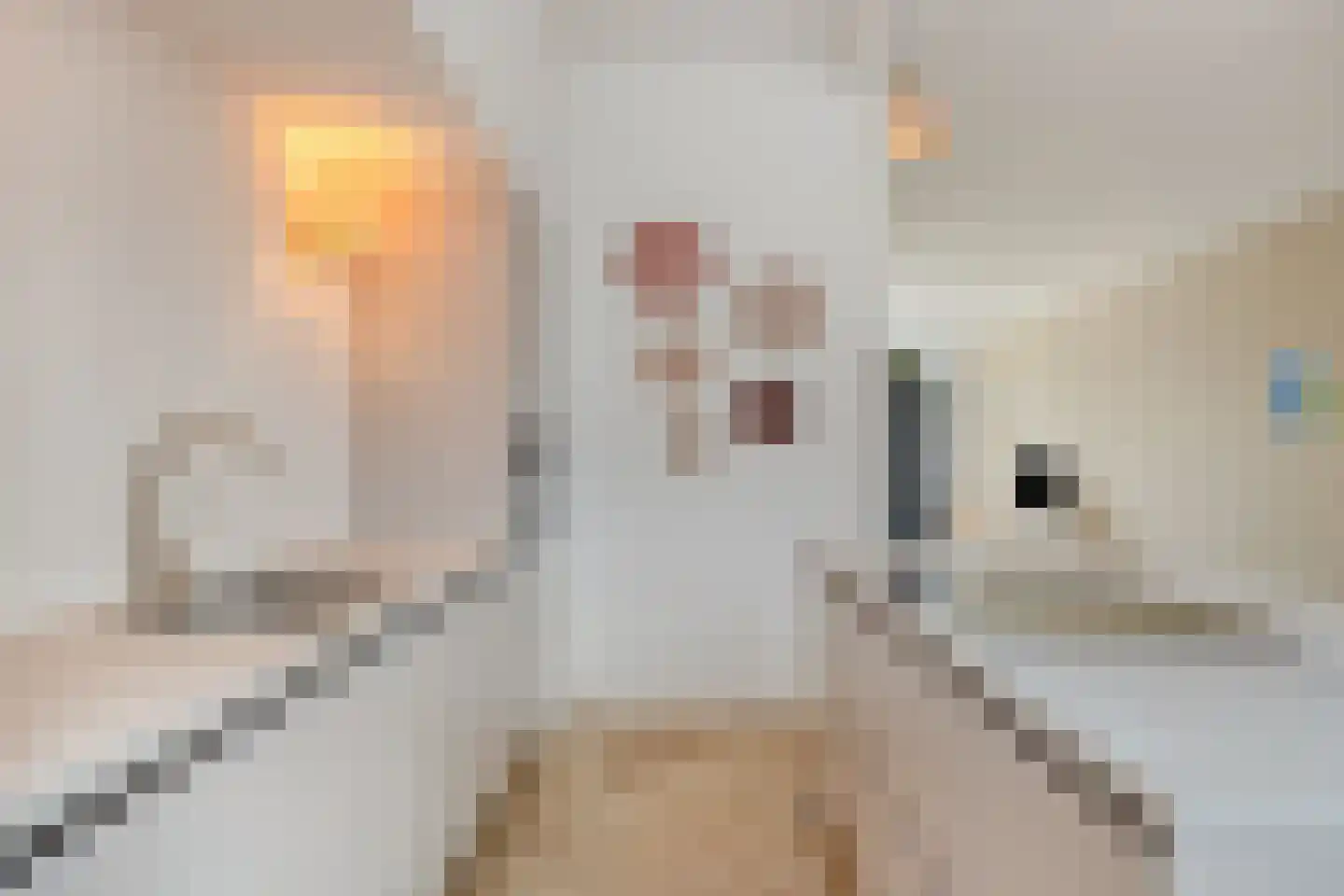 Henegouwerlaan 69 B Rotterdam thumbnail 18