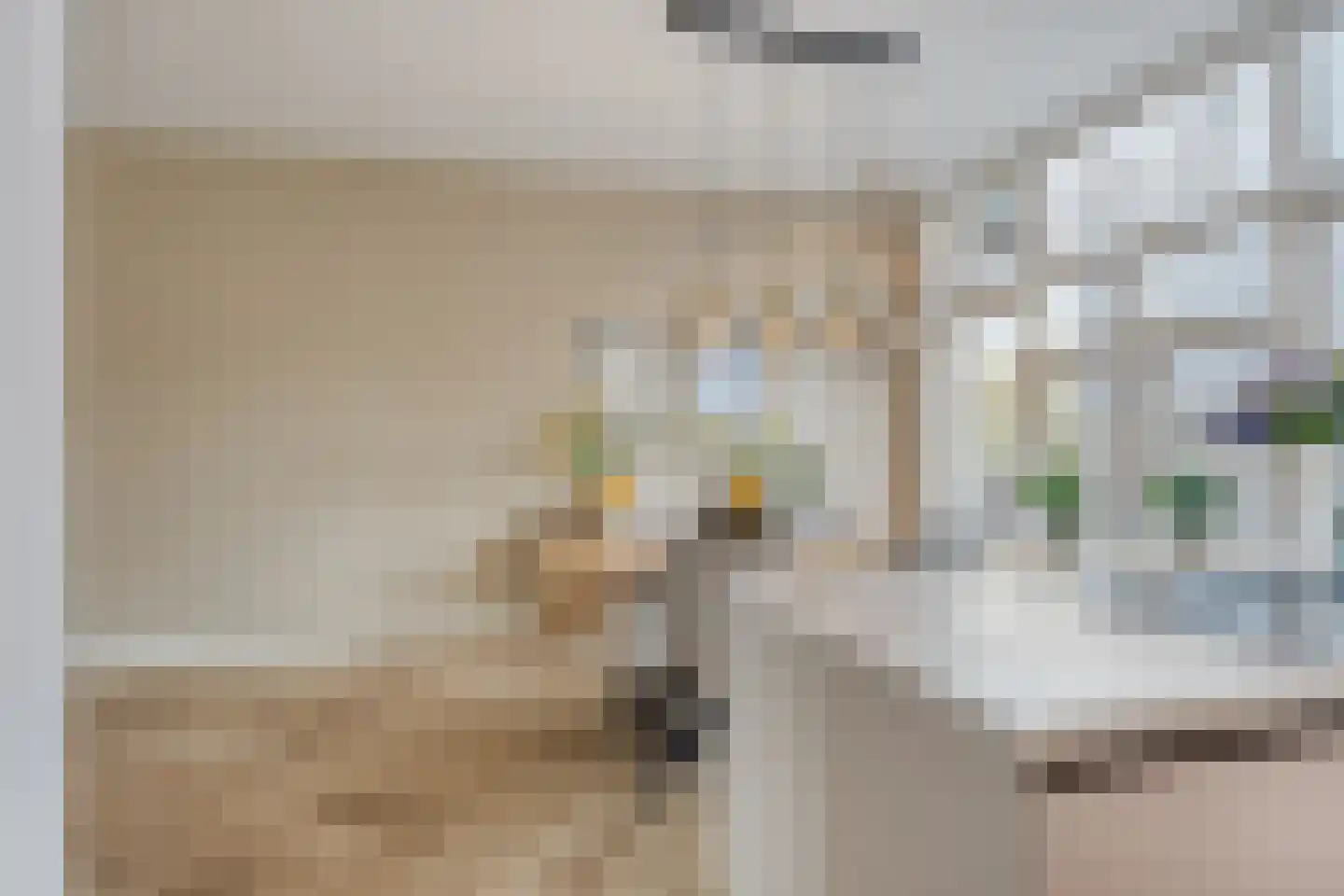 Henegouwerlaan 69 B Rotterdam thumbnail 21