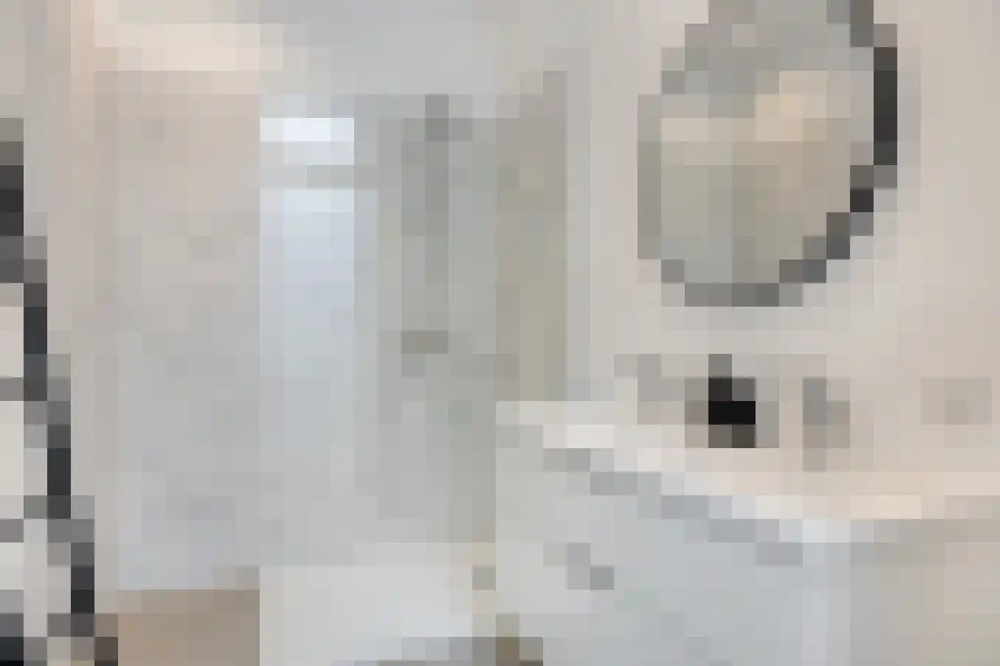 Henegouwerlaan 69 B Rotterdam thumbnail 39