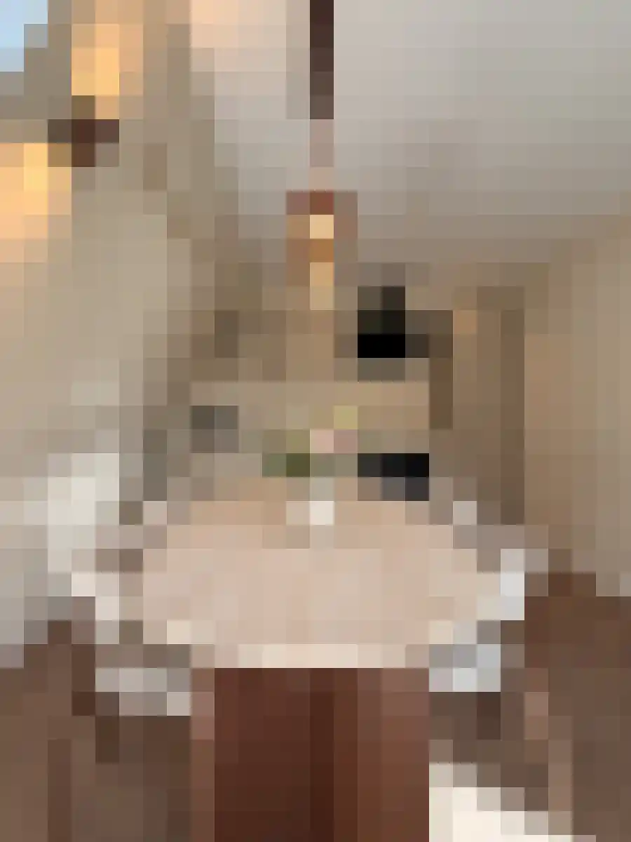 Henegouwerlaan 77 Rotterdam thumbnail 10