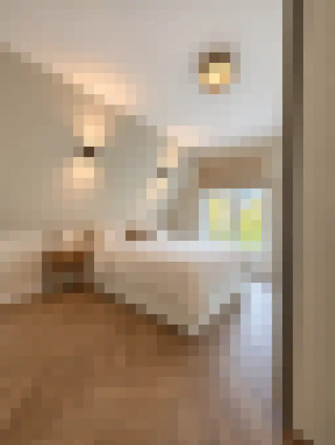 Henegouwerlaan 77 Rotterdam thumbnail 6
