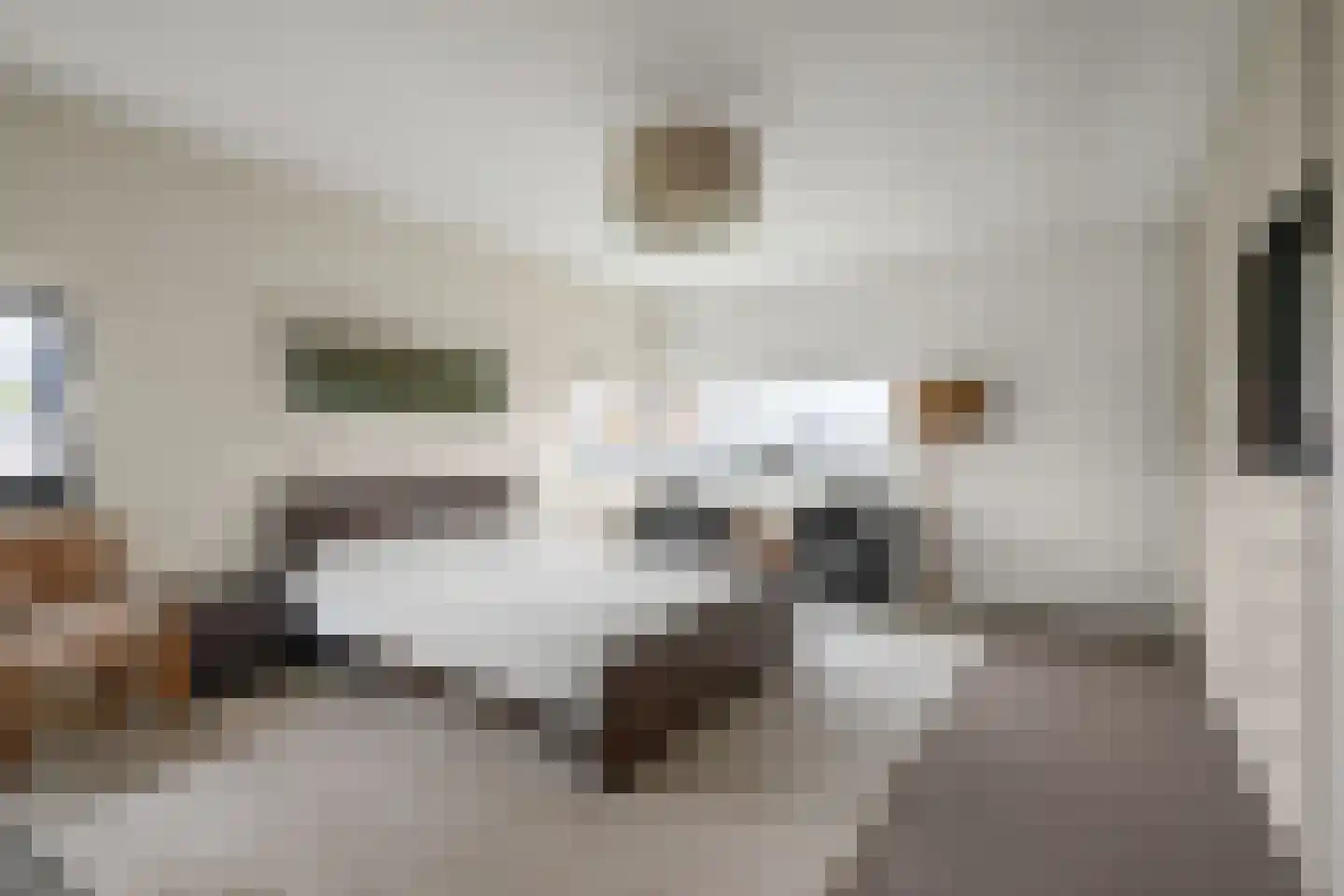 Henegouwernesse 17 Waddinxveen thumbnail 17