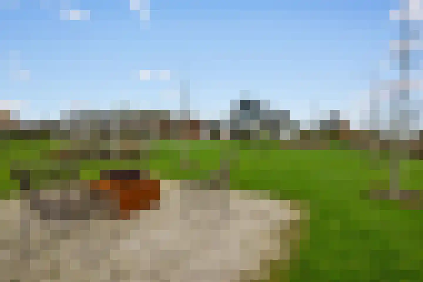 Henegouwernesse 17 Waddinxveen thumbnail 34