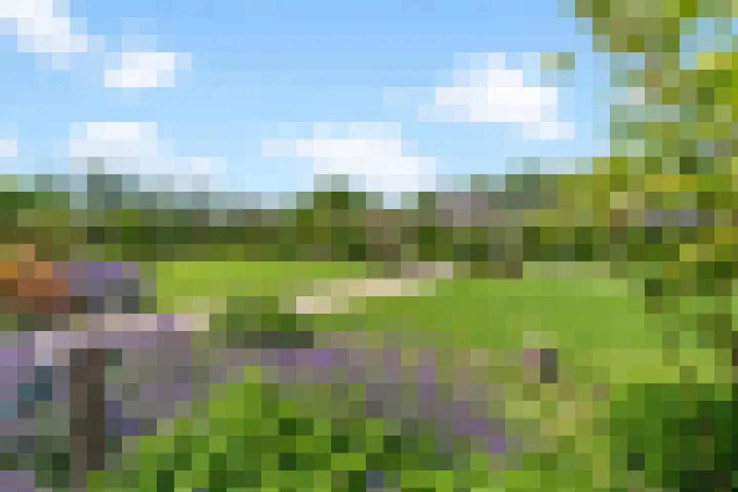 Henegouwernesse 17 Waddinxveen thumbnail 38