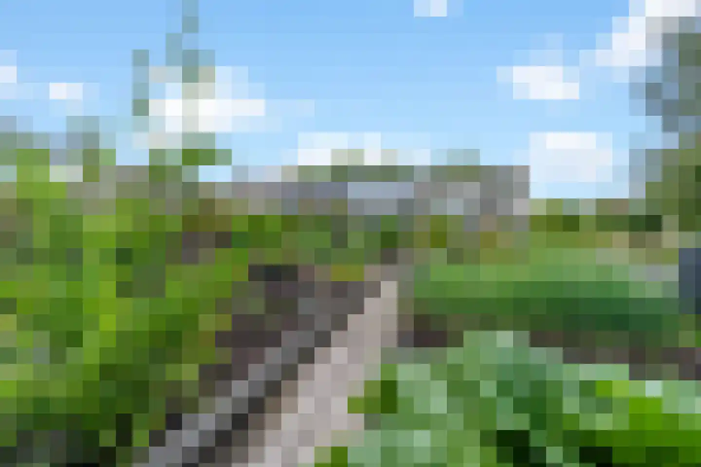 Henegouwernesse 17 Waddinxveen thumbnail 42