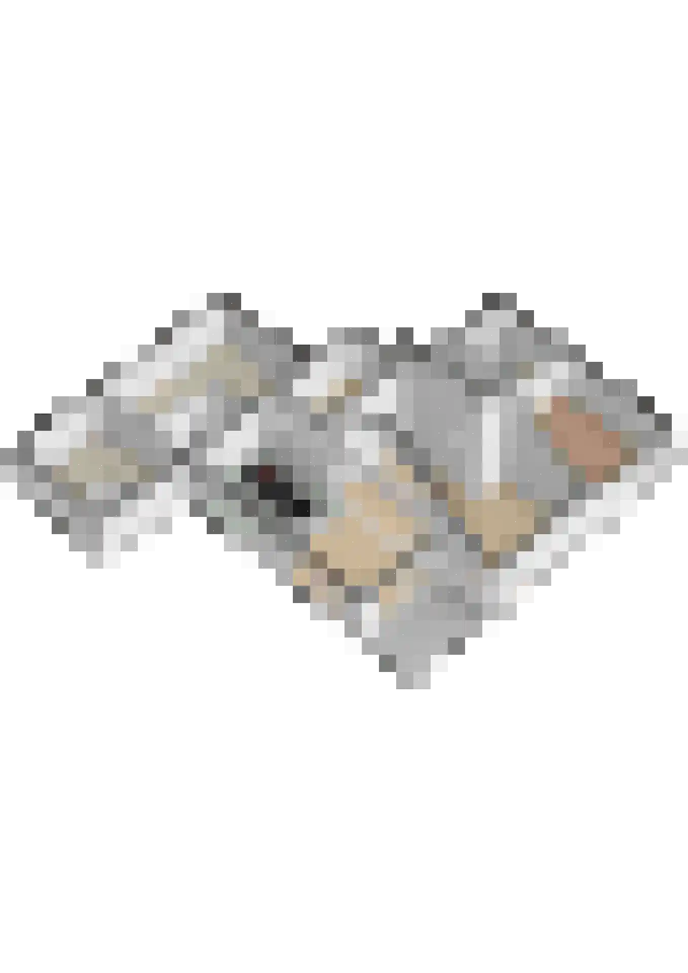 Henegouwernesse 17 Waddinxveen thumbnail 55