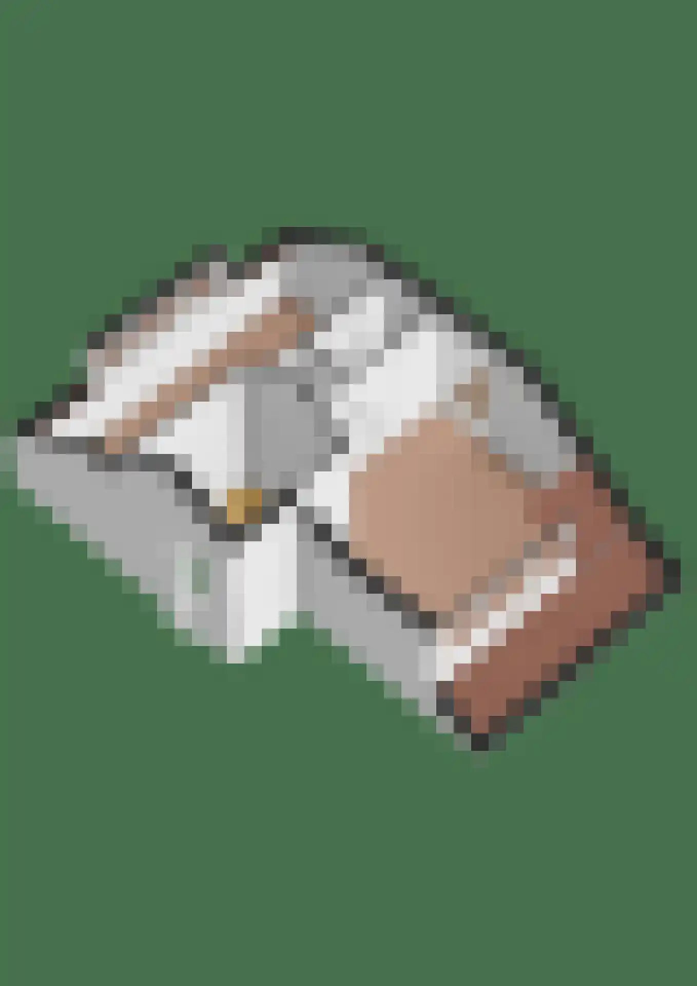 Henegouwernesse 17 Waddinxveen thumbnail 57