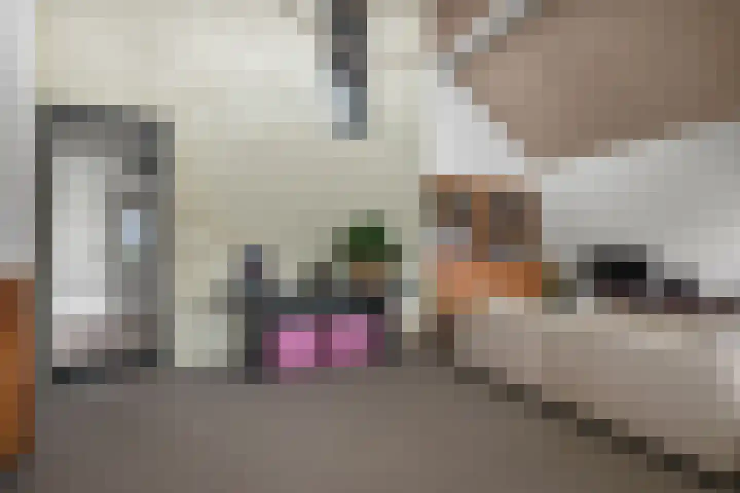 Henegouwernesse 17 Waddinxveen thumbnail 8