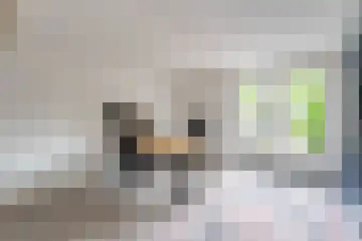 Henegouwerweg 94 Waddinxveen thumbnail 16