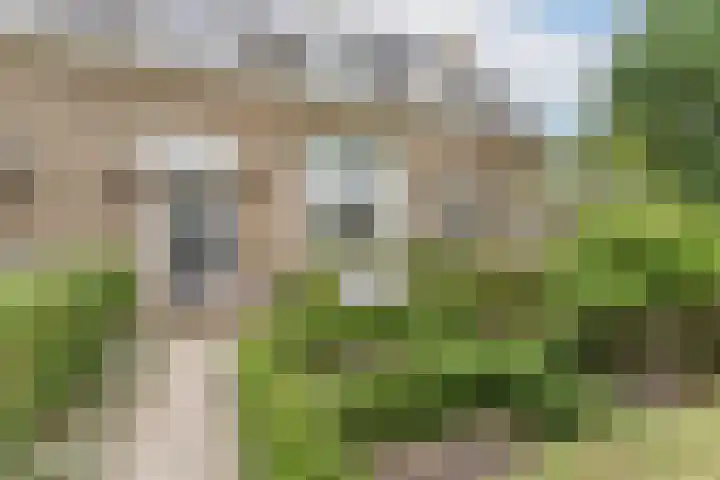 Henegouwerweg 94 Waddinxveen thumbnail 5