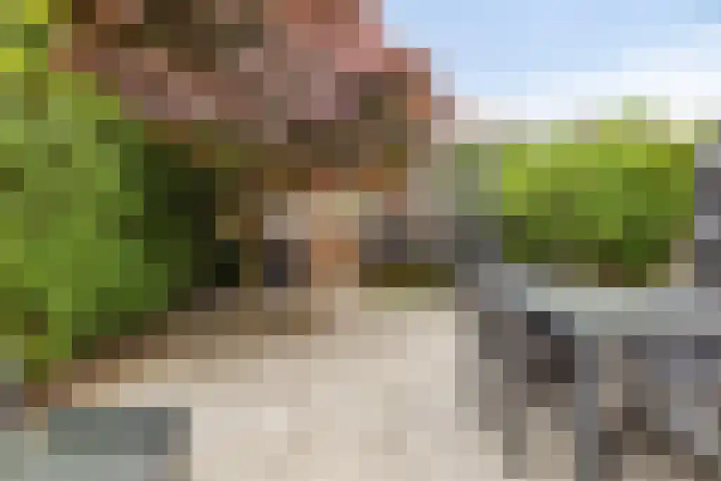 Henegouwselaan 113 Amstelveen thumbnail 4