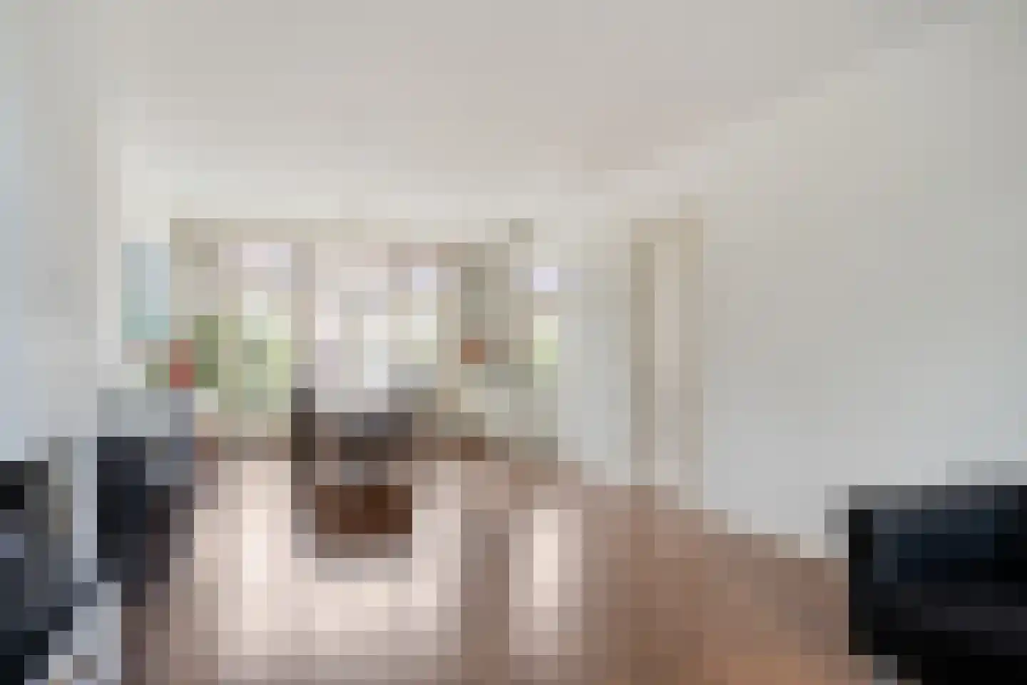 Henegouwselaan 93 Amstelveen thumbnail 8